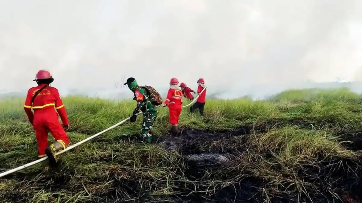 El Nino Godzilla Picu Kemarau Ekstrem, BPBD Kalsel Minta Siaga Dini Kebakaran Lahan dan Hutan