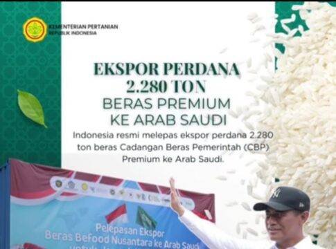 Pemerintah Pastikan Stok Beras Nasional Aman, Cukupi Kebutuhan hingga 324 Hari