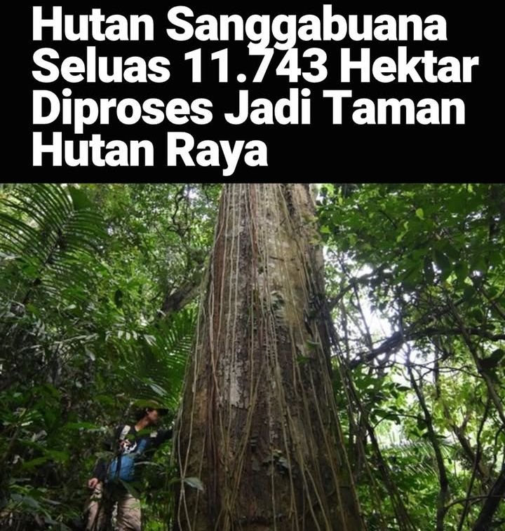 Hutan Sanggabuana Seluas 11.743 Hektar di Proses jadi taman Hutan Raya