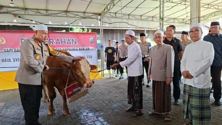 Jelang Haul Datu Kalampayan ke-220, Kapolda Kalsel Serahkan 2 Ekor Sapi