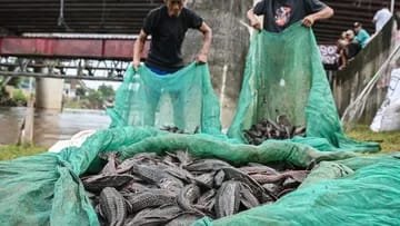 Pemprov Jakarta Gelar Tangkap Ikan Sapu-sapu Serentak, Terkumpul 6,9 Ton