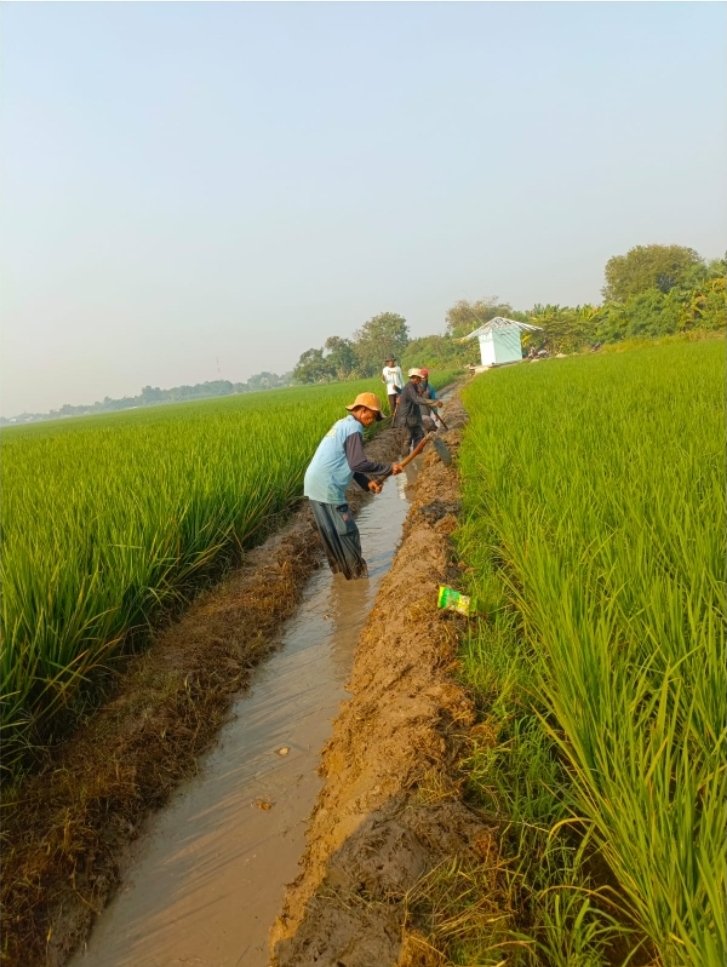 ITB Bangun Inovasi Kolektif Bersama Petani Karawang untuk Perkuat Pertanian Padi